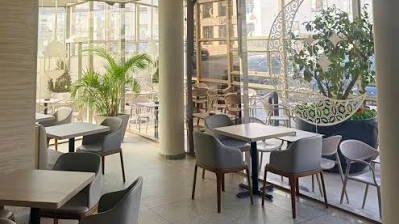 Bright minimalist interior of Nine Cafe in Amman, with pale tables, cushioned chairs, floor-to-ceiling windows and plants