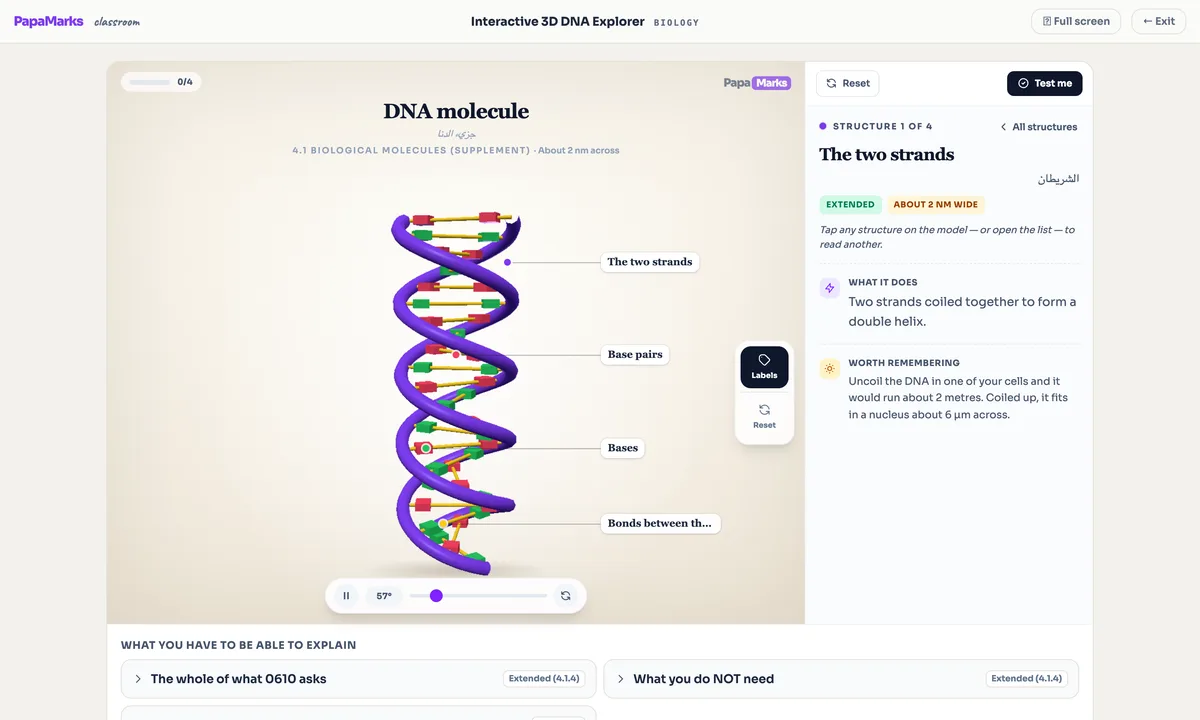 Interactive 3D DNA double-helix model for IGCSE Biology