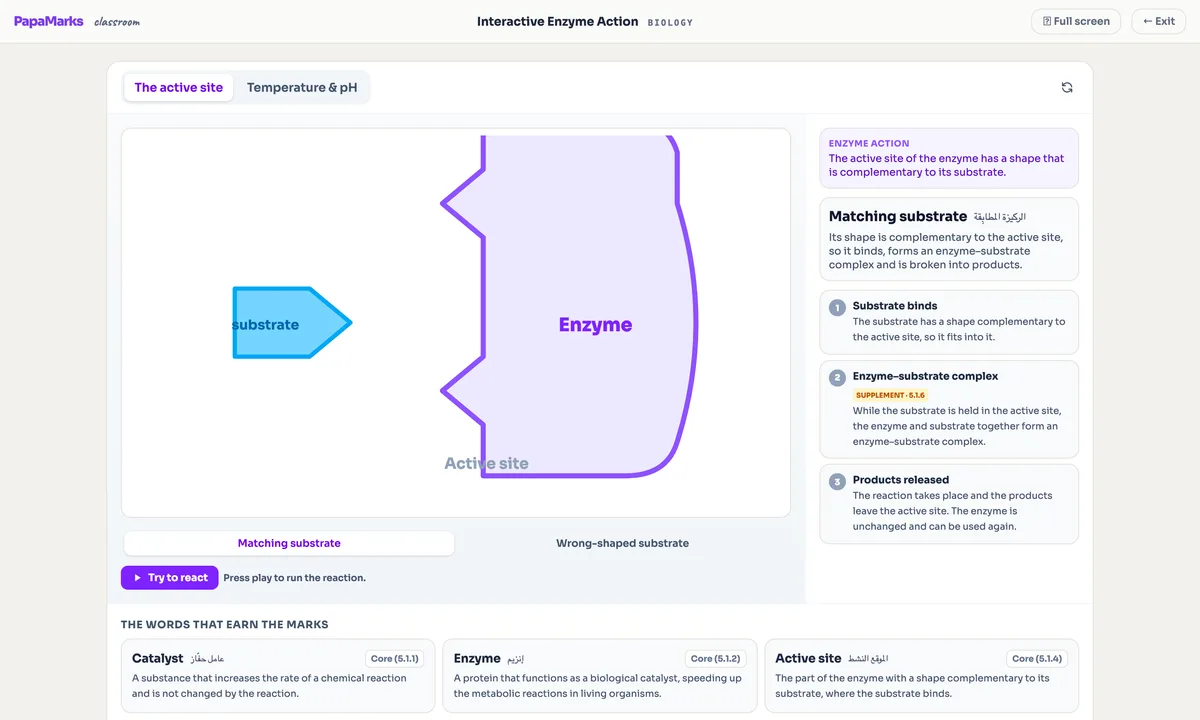 Enzyme action tool with bilingual definition cards for IGCSE Biology