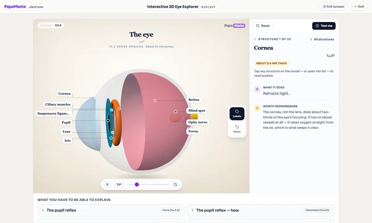 Interactive 3D model of the human eye with labelled structures for IGCSE Biology
