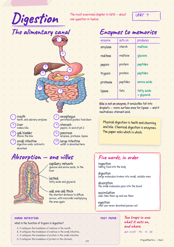 Sample page 4 of Biology 0610 Revision Book