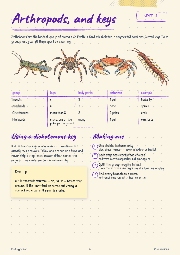 Sample page 2 of Biology 0610 Revision Book