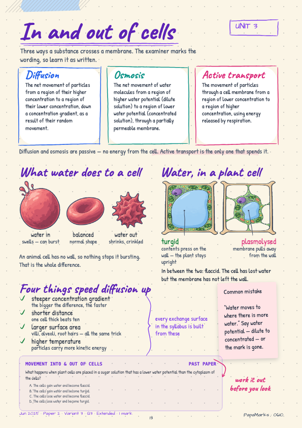 Sample page 3 of Biology 0610 Revision Book