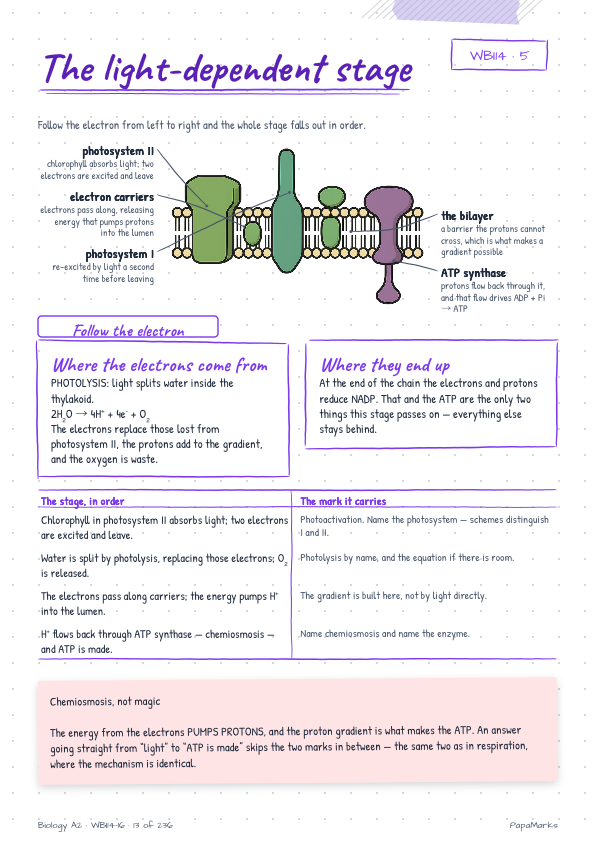 Sample page 2 of Biology A2 — WBI14, WBI15, WBI16