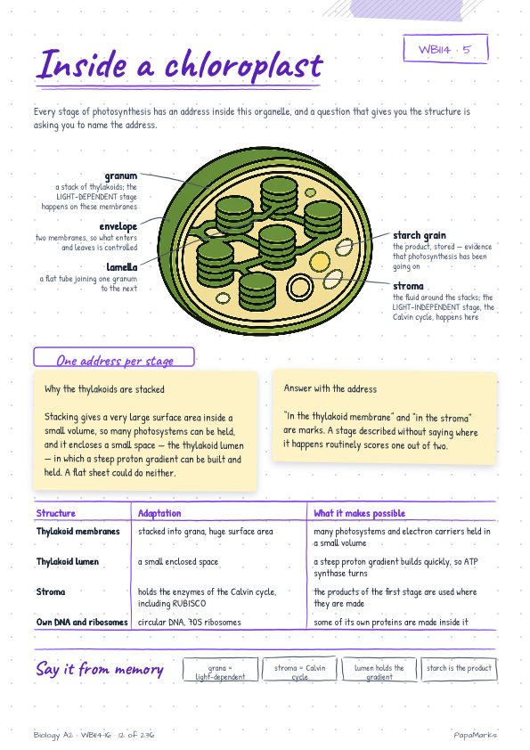 Sample page 1 of Biology A2 — WBI14, WBI15, WBI16