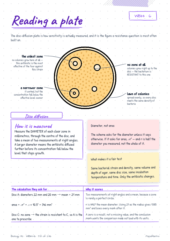 Sample page 5 of Biology A2 — WBI14, WBI15, WBI16