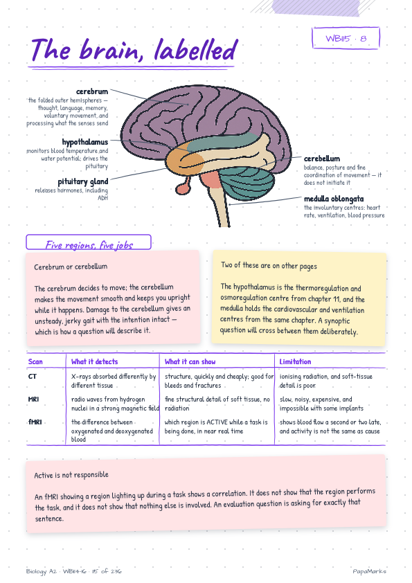 Sample page 7 of Biology A2 — WBI14, WBI15, WBI16